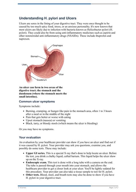Understanding the H.